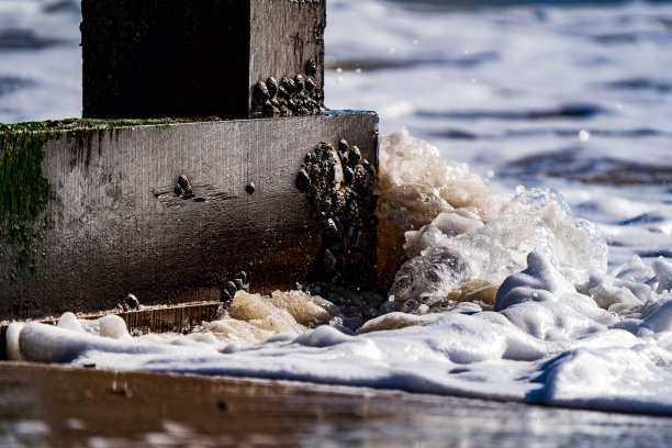 groyne