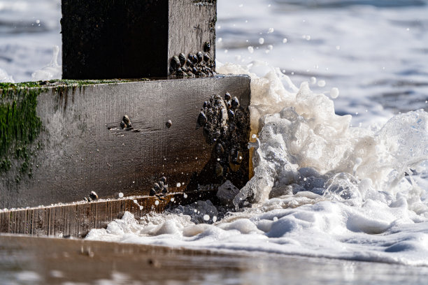 groyne