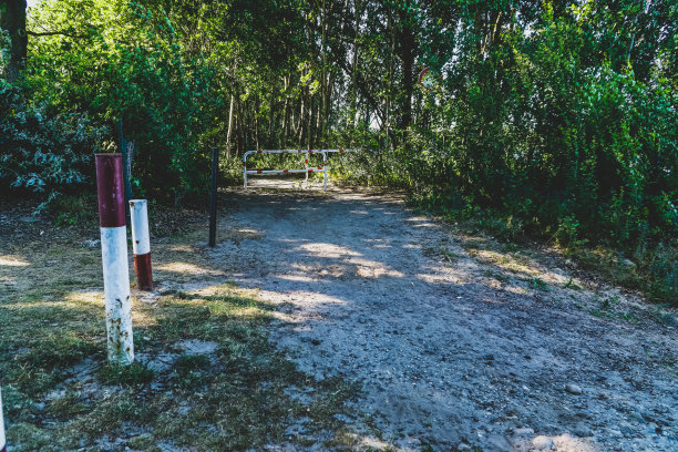 道路 蓝天 公园 树荫 阳光 