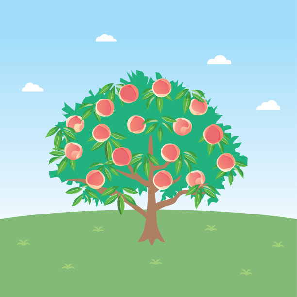 peach