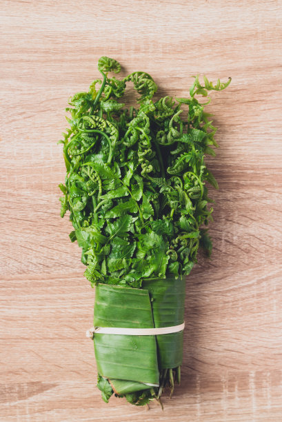 fiddlehead