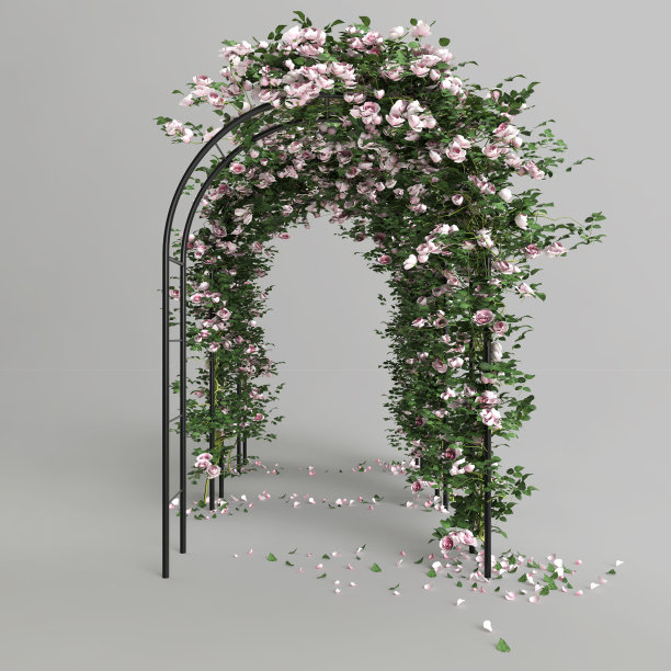 arc