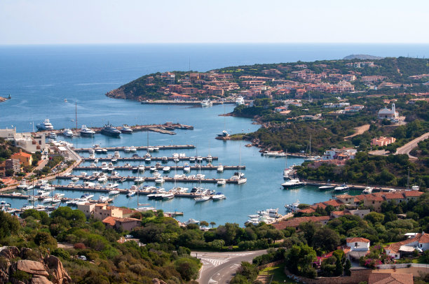 cervo