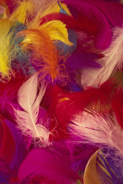preen