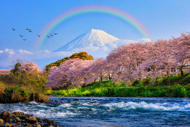 fuji