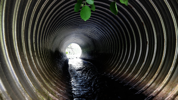 ditch