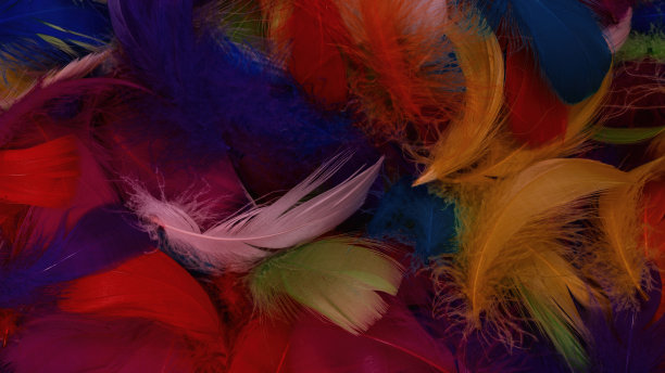 preen