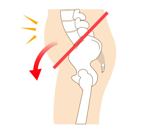 pelvis