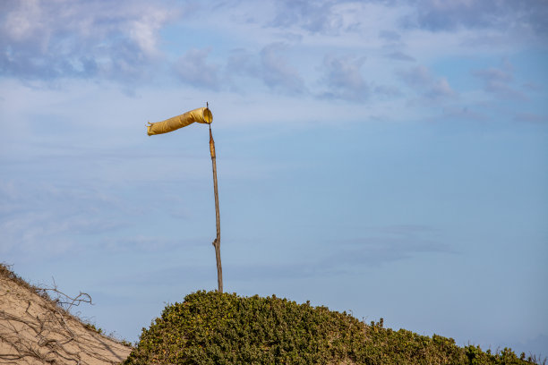 wind