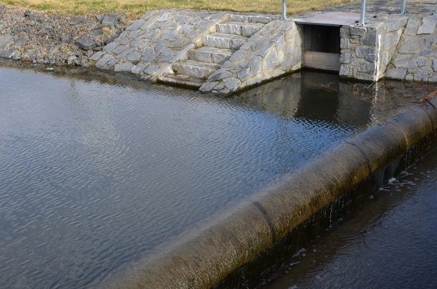 ditch