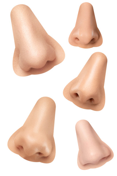 nose