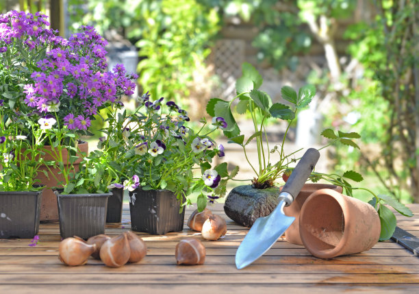 horticulture