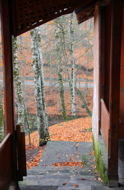 bolu