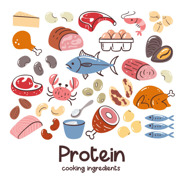 protein