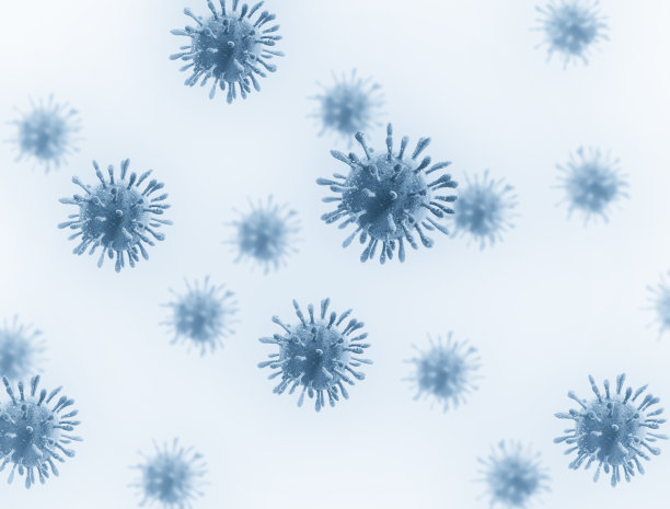bacteria