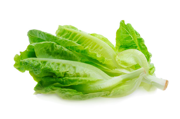 romaine
