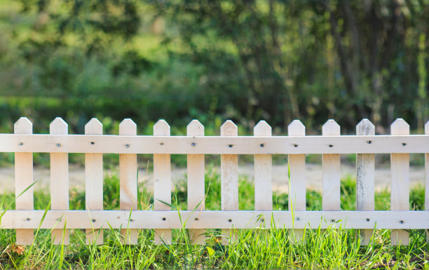 fence