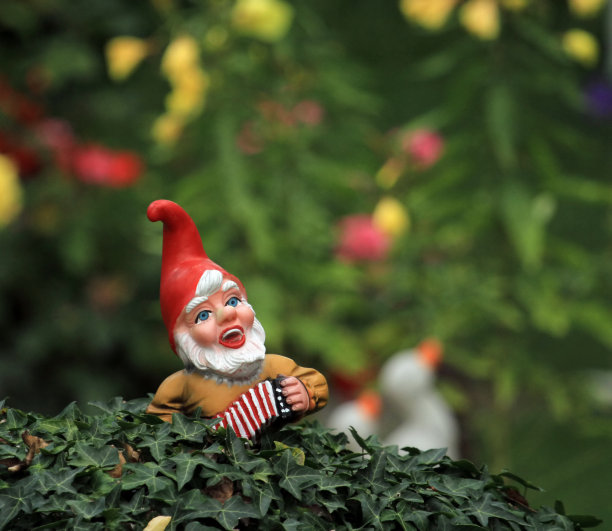 gnome