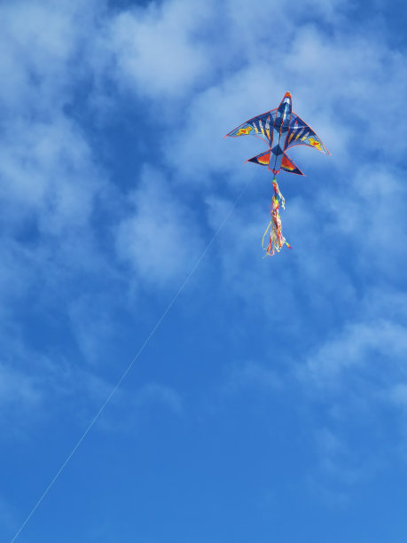 kite
