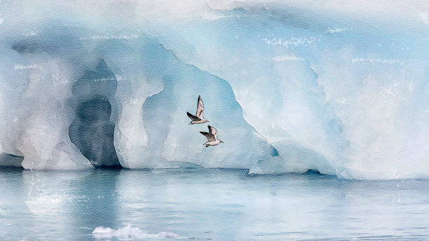 飞鸟蓝色大海壁纸