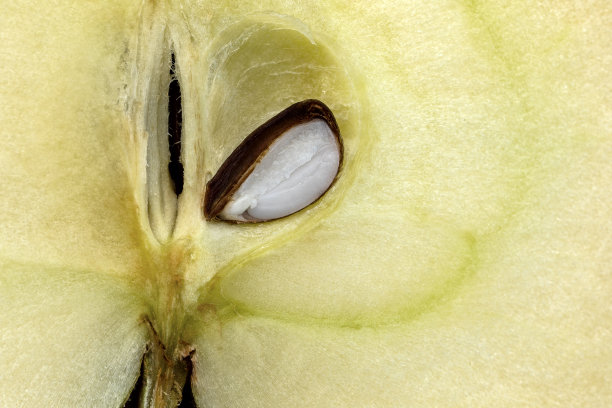 core
