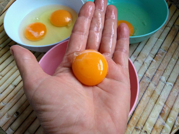 yolk