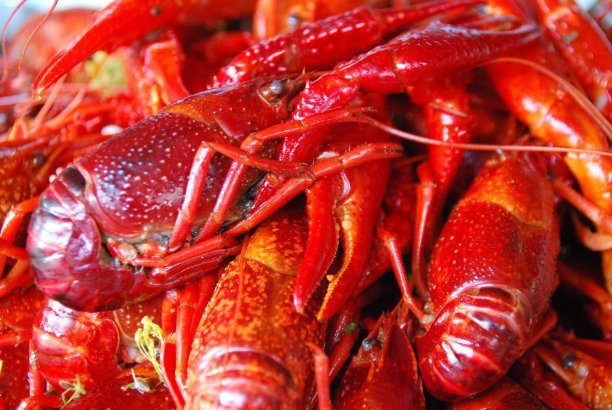 mudbugs