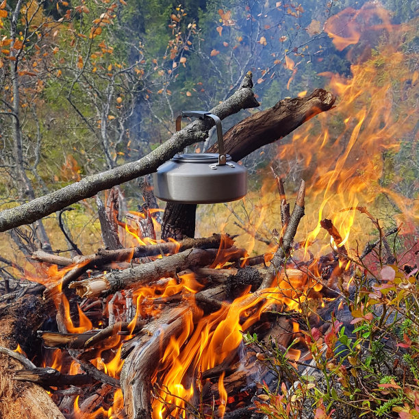 户外蓝天白云草地树林图片