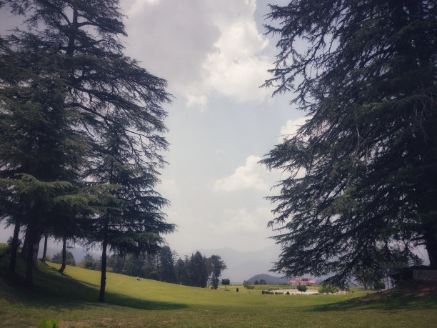 simla