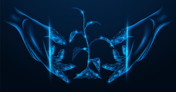 技术负责人职责