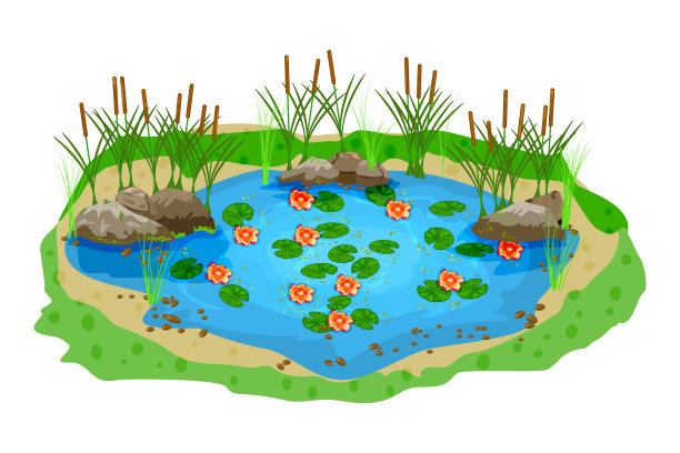 ponds