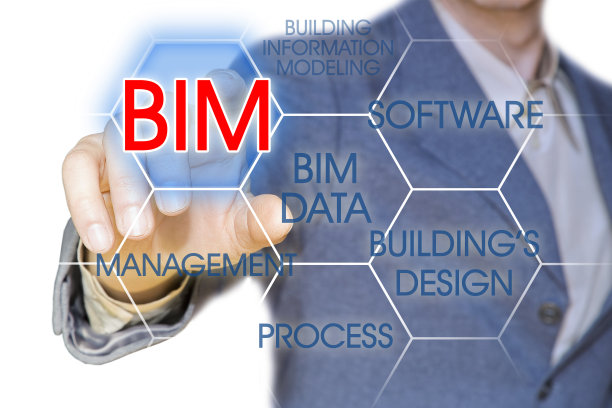 bim