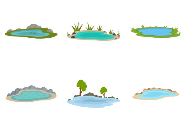 ponds