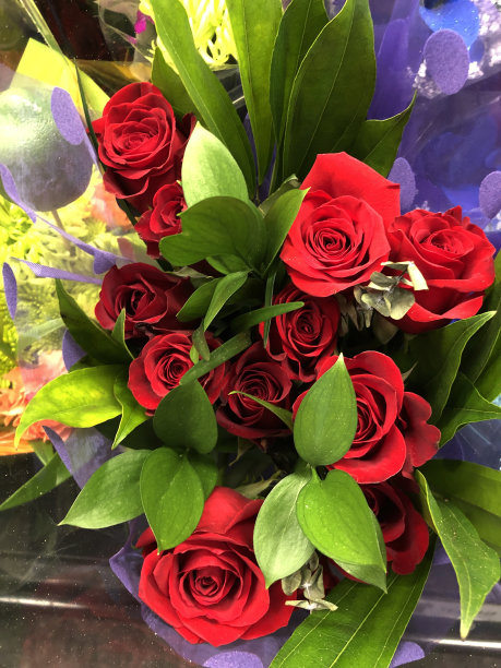 鲜花盛开,花簇,花头