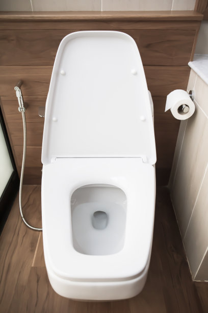 bidet