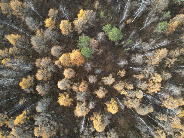 黑龙江旅游素材