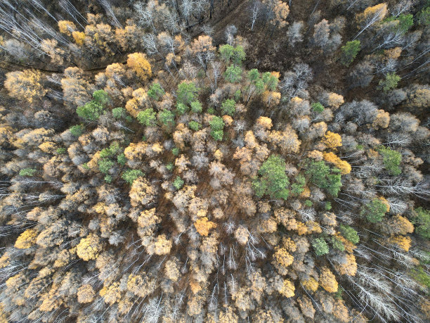 黑龙江旅游素材