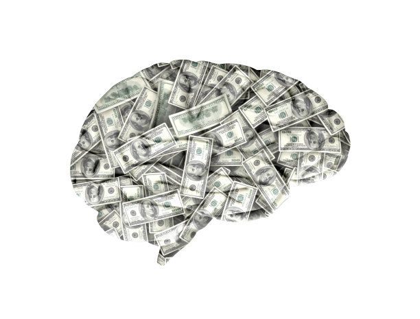 cerebrum