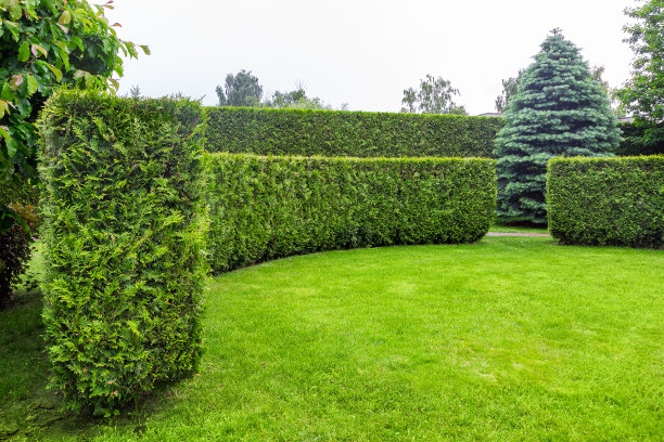 horticulture