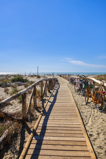 viareggio