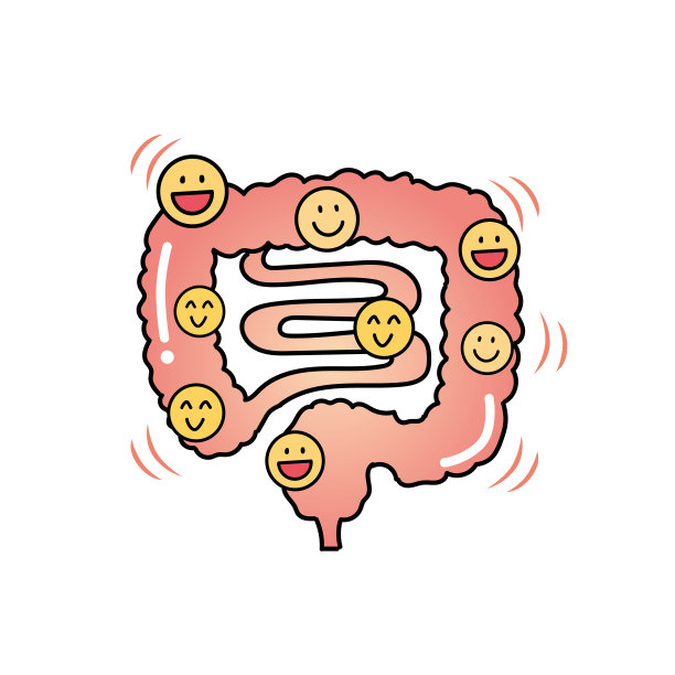 digestion