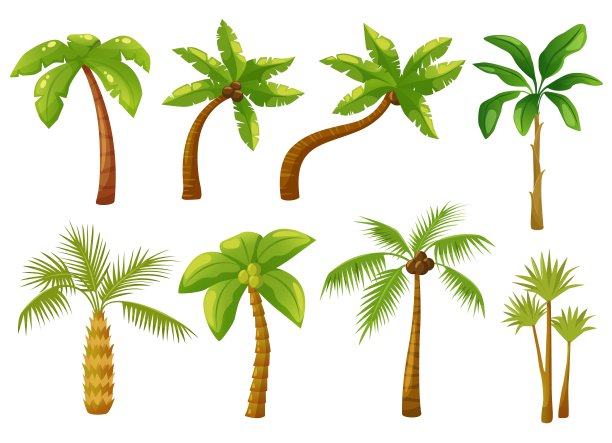 coconut