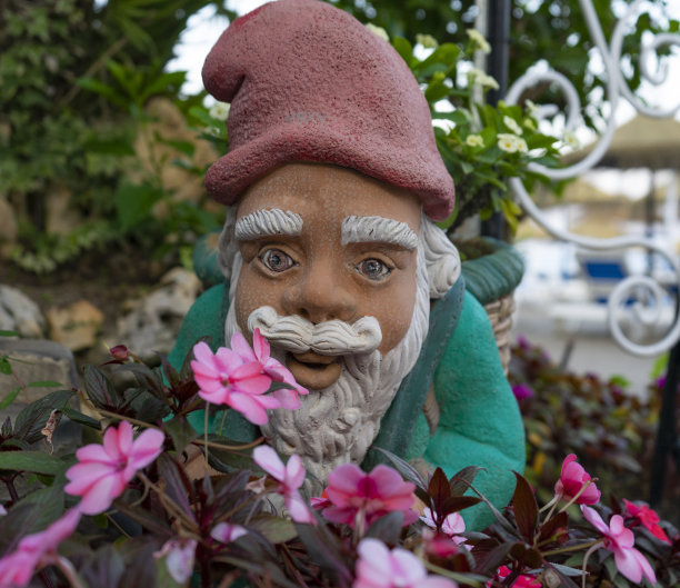 gnome
