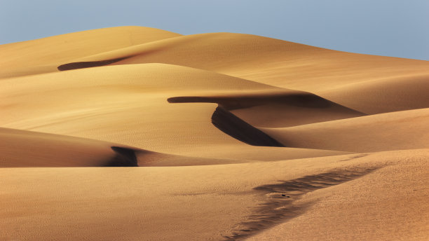 dune