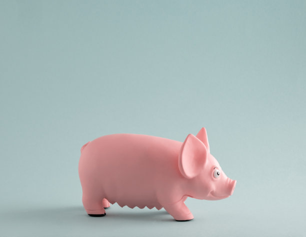piggy