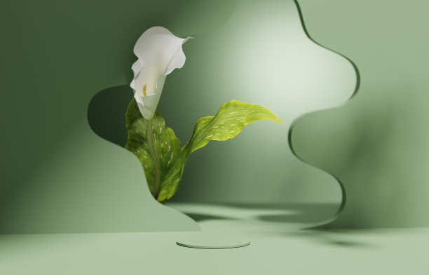 3d马蹄莲
