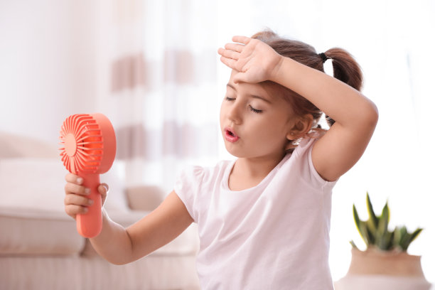 fan
