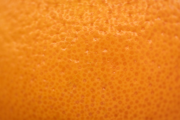 水果柚子水果南非西柚