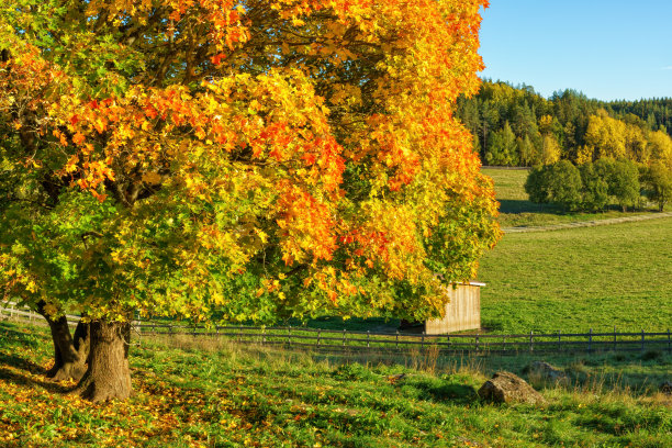 finland