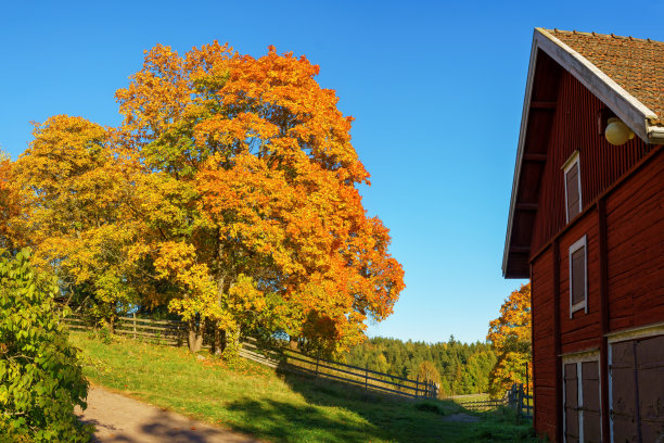 finland